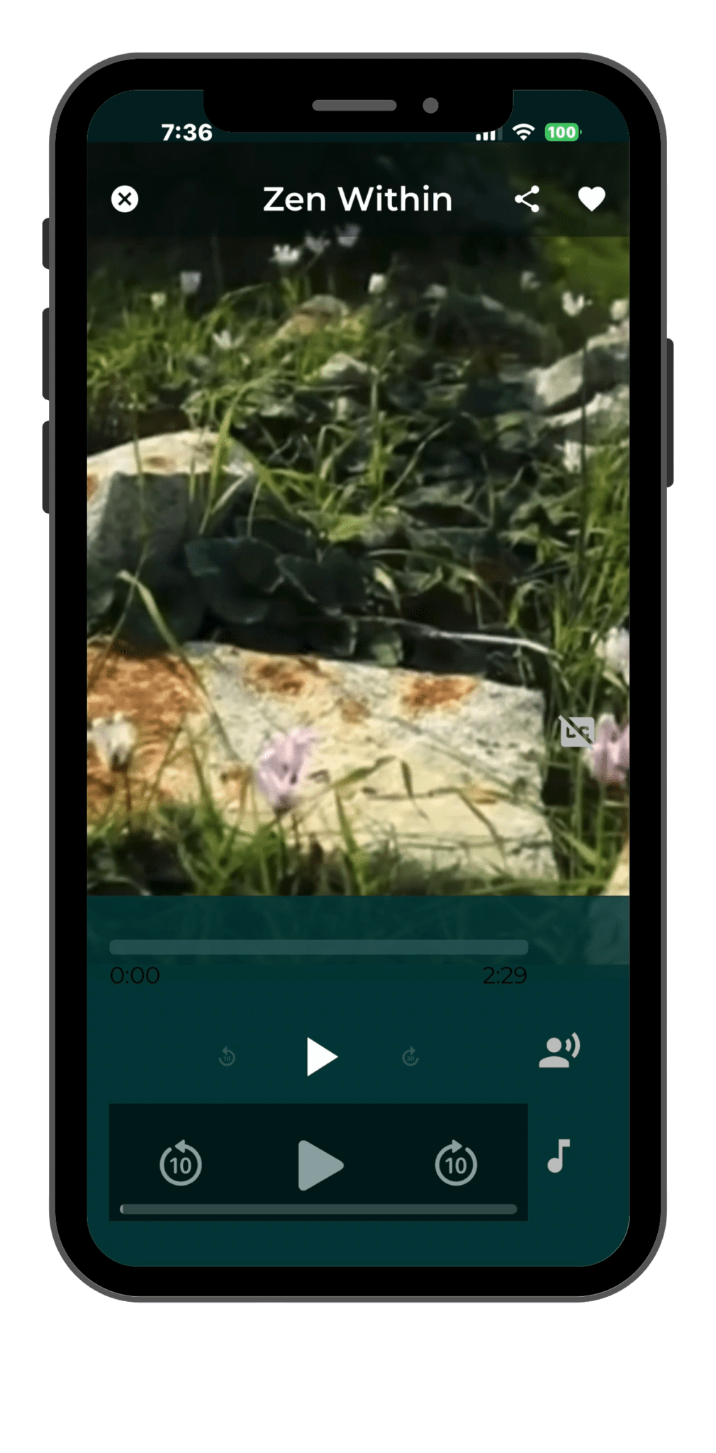 Zen Within | The Best Meditation & Wellness App for a Balanced Life
