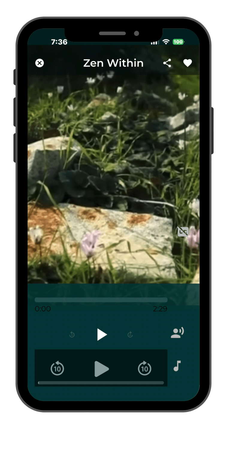 Zen Within | The Best Meditation & Wellness App for a Balanced Life